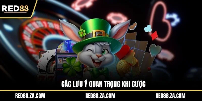 Các lưu ý quan trọng khi cược