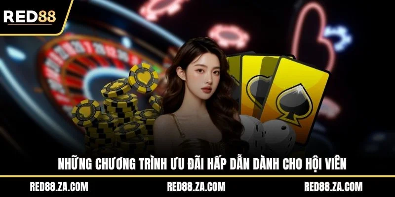 Những chương trình ưu đãi hấp dẫn dành cho hội viên