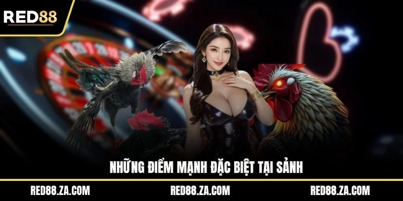 Những điểm mạnh đặc biệt tại sảnh